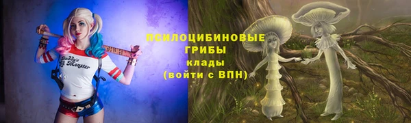 соль курить ск Касимов