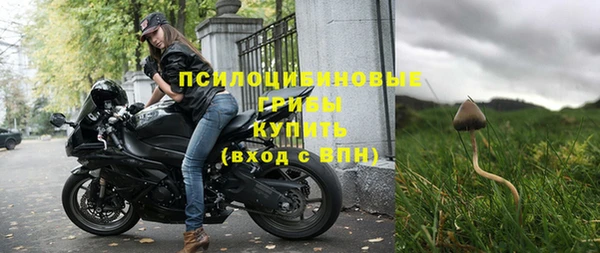 крисы Киренск