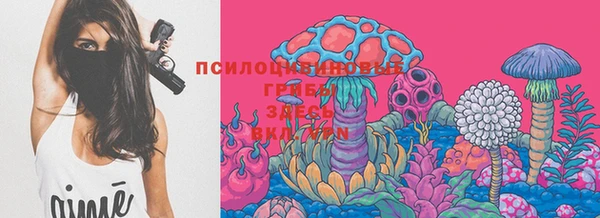 мяу мяу мука Кинешма