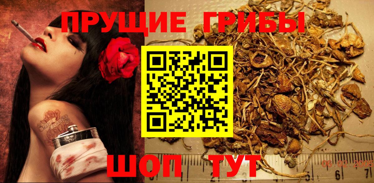 Якутск  Галлюциногенные грибы Psilocybe  Вход с VPN 